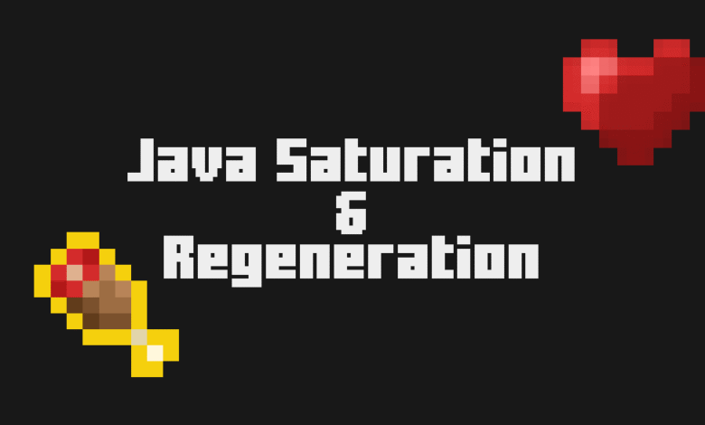 Raiyon's Java Saturation & Regeneration