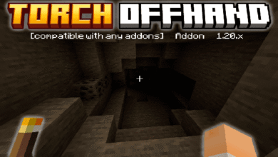 Torch OffHand